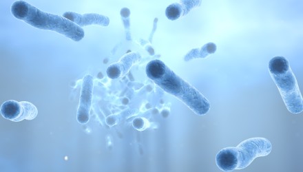 Škodlivé bakterie pro člověka: Které to jsou?